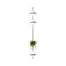 VIBIA PALMA PARETE 3718
