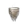 SLAMP CEREMONY SUSPENSION