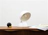 ARTEMIDE DALU' SPECIAL EDITION