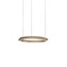 LODES TIDAL SUSPENSION