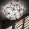 SLAMP C'EST LA VIE CEILING/WALL