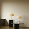 LOUIS POULSEN PANTHELLA TABLE