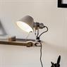 ARTEMIDE TOLOMEO PINZA