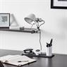 ARTEMIDE TOLOMEO PINZA