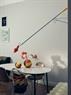 FLOS 265