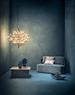 FLOS 2097