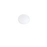 FLOS GLO-BALL CEILING