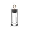 FLOS IN VITRO UNPLUGGED