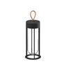FLOS IN VITRO UNPLUGGED