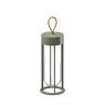 FLOS IN VITRO UNPLUGGED