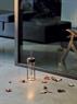 FLOS IN VITRO UNPLUGGED