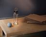 FLOS IN VITRO UNPLUGGED