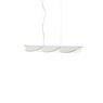 FLOS ALMENDRA S