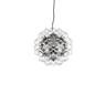 FLOS TARAXACUM 88 S