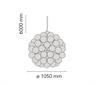 FLOS TARAXACUM 88 S