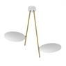 CATELLANI&SMITH LEDERAM C2