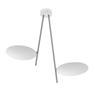 CATELLANI&SMITH LEDERAM C2