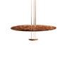 CATELLANI&SMITH MACCHINA DELLA LUCE MOD. B
