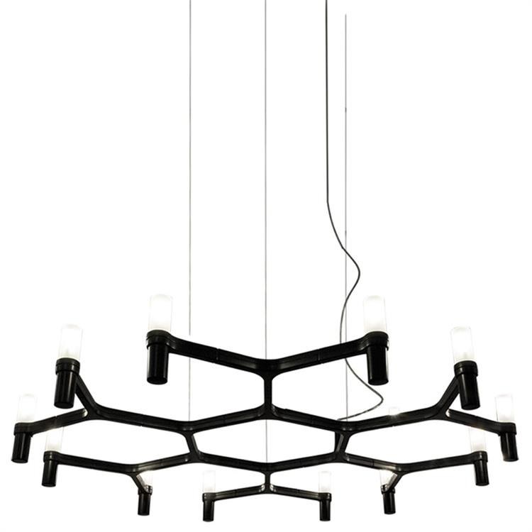 NEMO CROWN PLANA MINOR