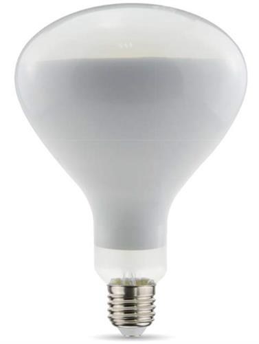 LAMPADINA DAYLIGHT PER PARENTESI, LED 2700K FROSTED DIMM.