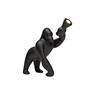 QEEBOO KONG XS