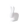 QEEBOO RABBIT CHAIR