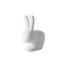 QEEBOO RABBIT CHAIR