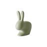 QEEBOO RABBIT CHAIR