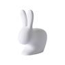 QEEBOO RABBIT CHAIR