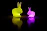 QEEBOO RABBIT LAMP