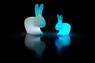 QEEBOO RABBIT LAMP