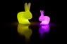 QEEBOO RABBIT LAMP